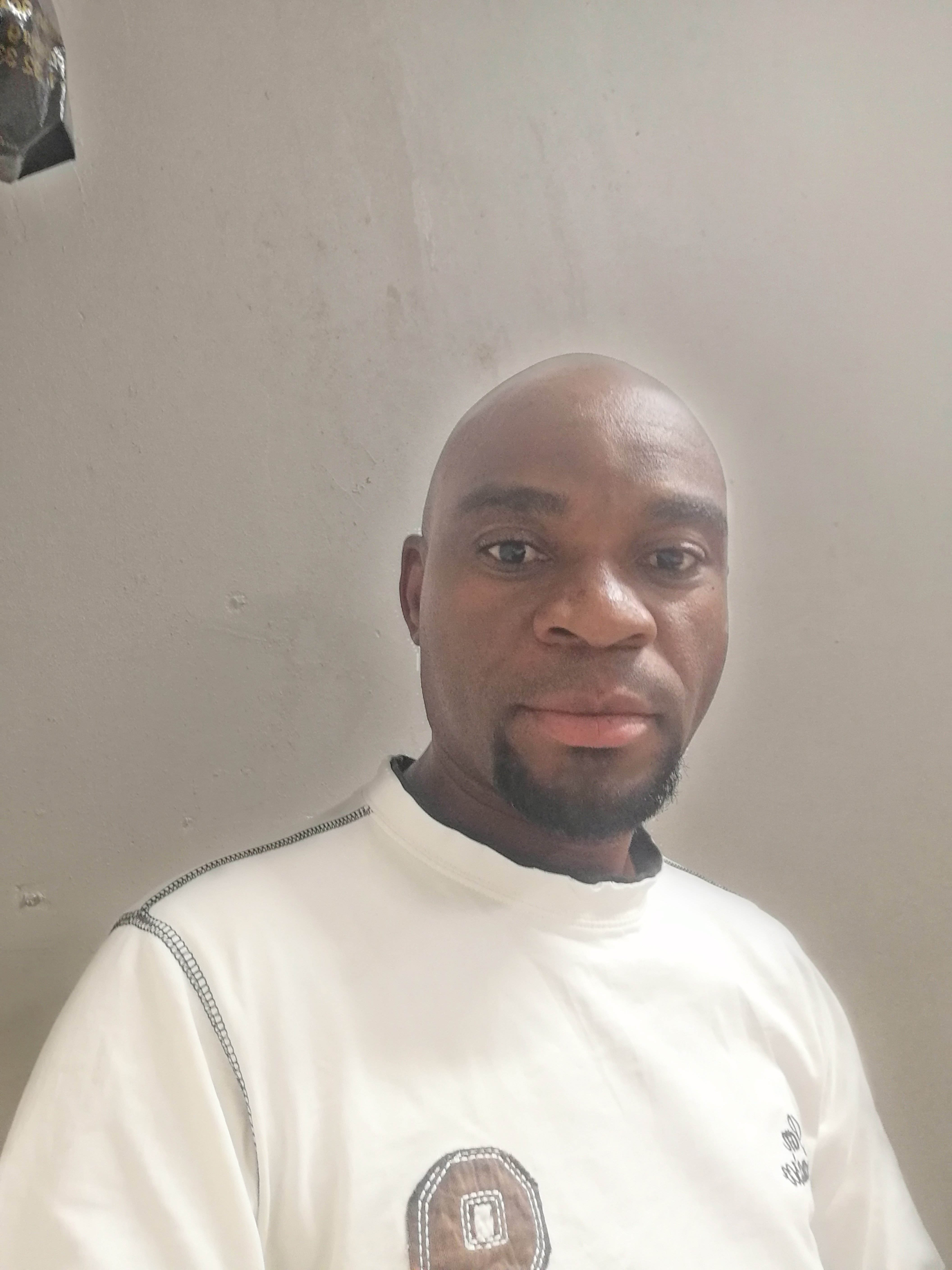 Kingston moyo 